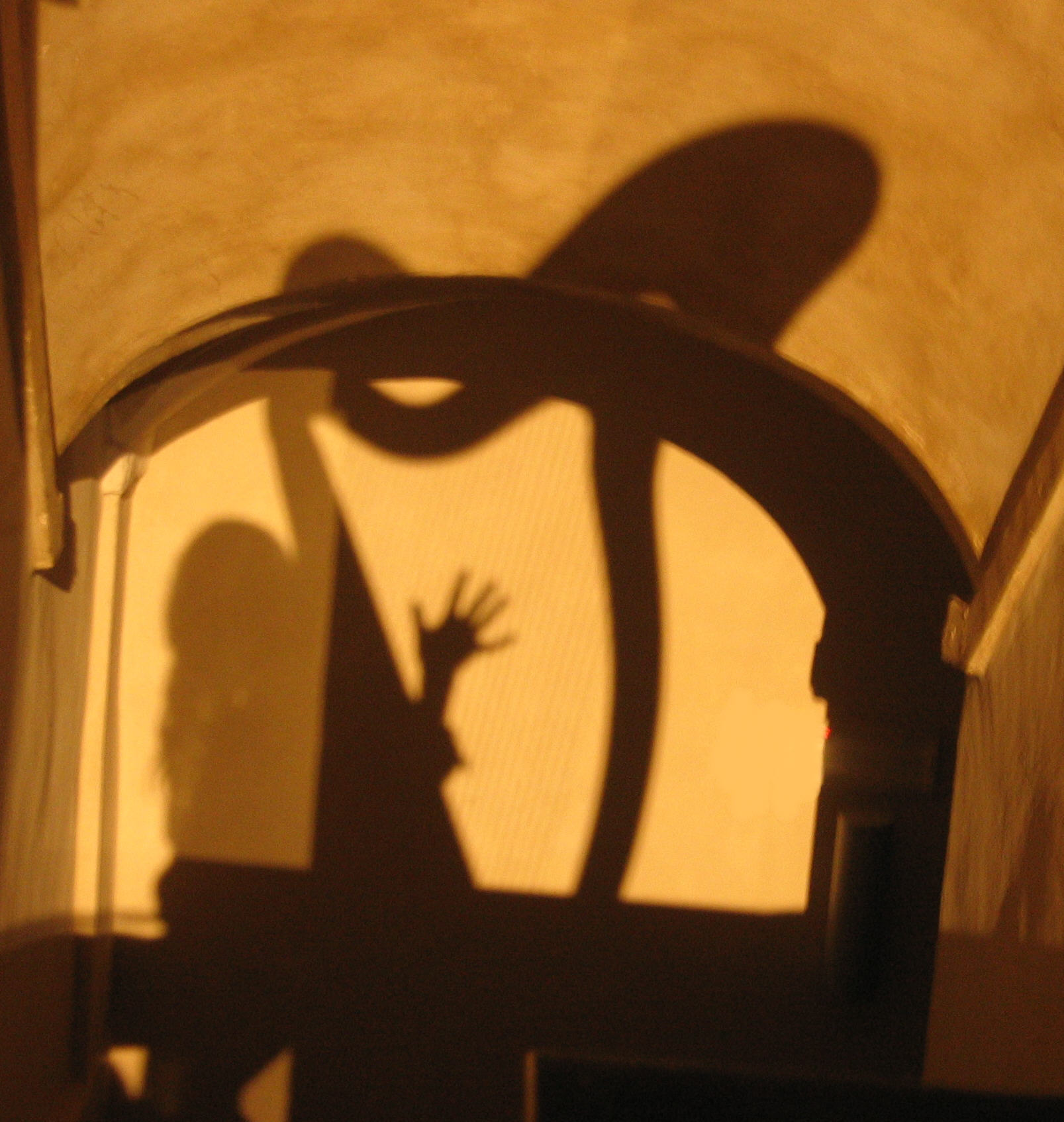 voce e arpa 